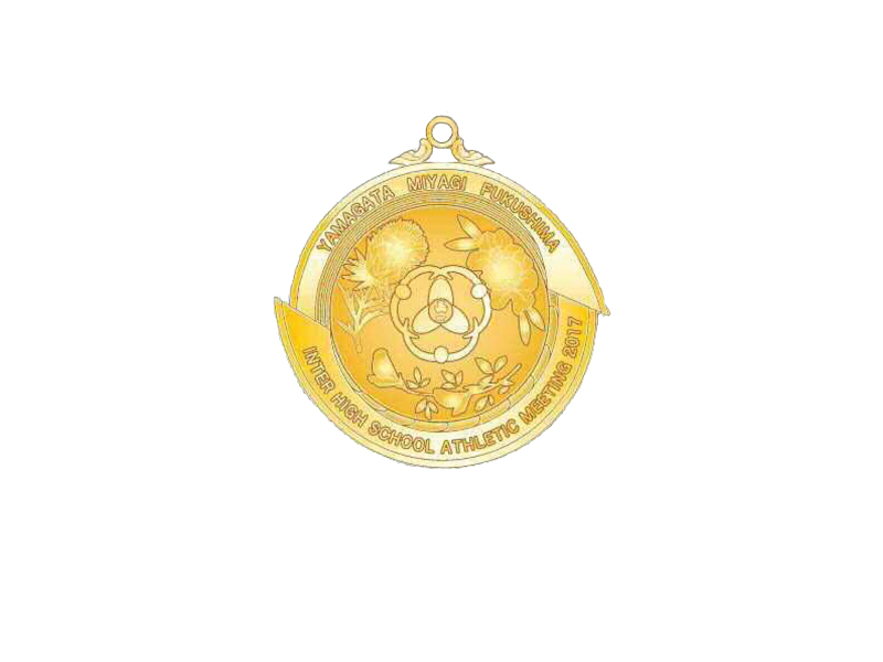 平成29年度 全国高校総体 金メダル | 吉井町のサッカー応援サイト